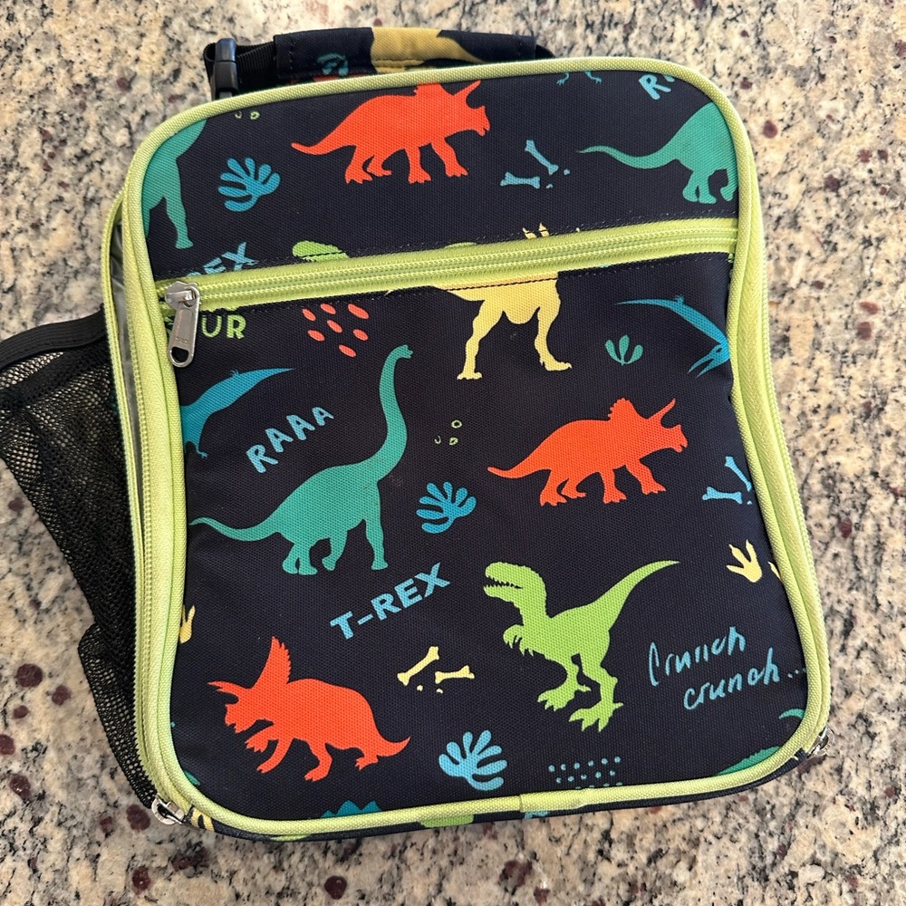 Dinosaur Print Lunch Bag with Green Accents